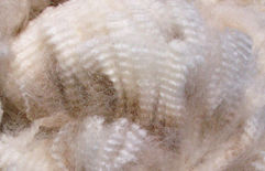 Tutankhamen Fleece